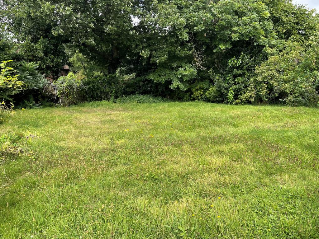 Lot: 69 - CHARACTER COTTAGE IN NEED OF UPDATING AND REPAIR - View of front garden with lawn and mature trees